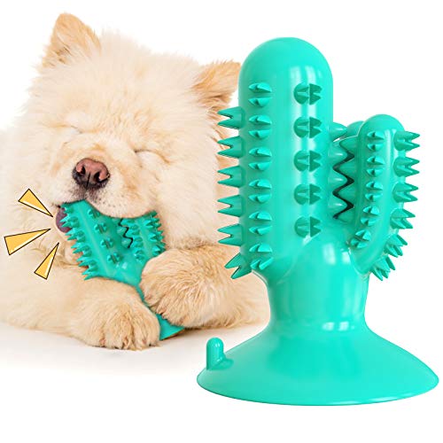 Dog Squeaky Toy Super Bite-Resistant Molar Stick Puppy Float Toys Dogs Supplies Pet Cactus-Shaped Doggy Toothbrushâ¦