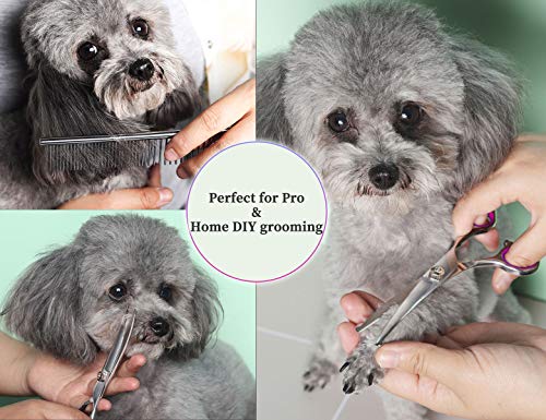 BRAINYS Professional Dog Grooming Scissors Kit, Japanese Craftsmanship Heavy Duty 6 in1 Set- Genuine Superior 4CR Stainless Steel with Safety Tips