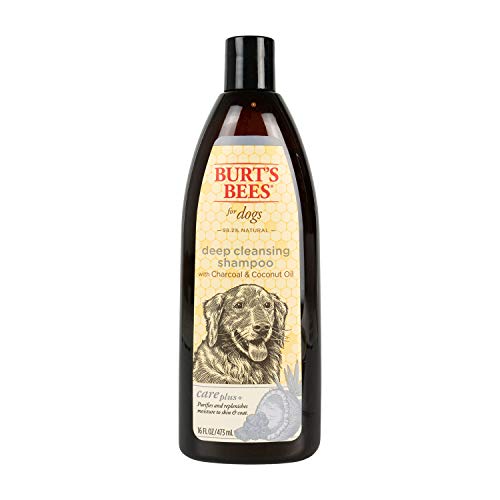 Burt's Bees for Dogs Care Plus+ Natural Deep Cleansing Charcoal & Coconut Oil Shampoo | Dog Shampoo to Naturally Purify and Replenish Dog's Skin & Coat | pH Balanced for Dogs - Made in USA, 16 Oz