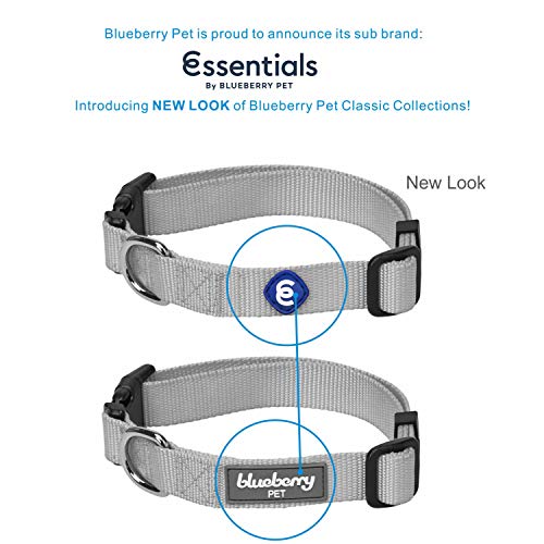 Blueberry Pet Classic Collar - Royal Blue, Medium