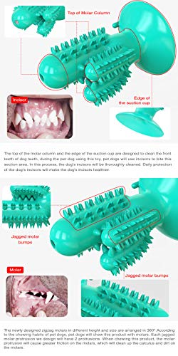 Dog Squeaky Toy Super Bite-Resistant Molar Stick Puppy Float Toys Dogs Supplies Pet Cactus-Shaped Doggy Toothbrushâ¦