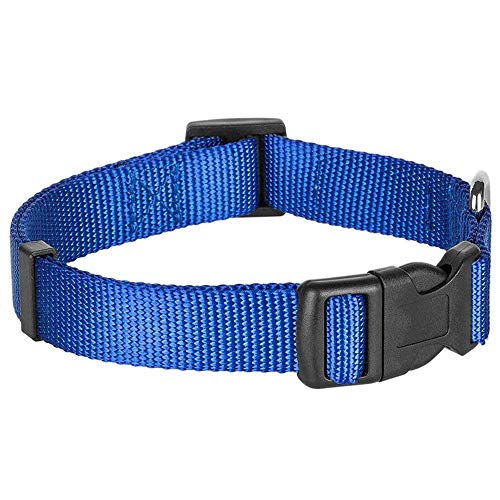 Blueberry Pet Classic Collar - Royal Blue, Medium