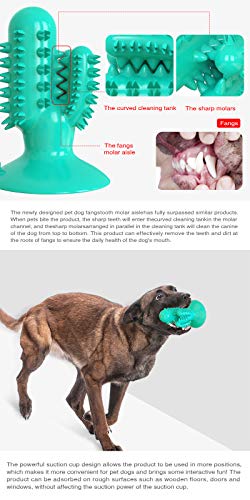 Dog Squeaky Toy Super Bite-Resistant Molar Stick Puppy Float Toys Dogs Supplies Pet Cactus-Shaped Doggy Toothbrushâ¦
