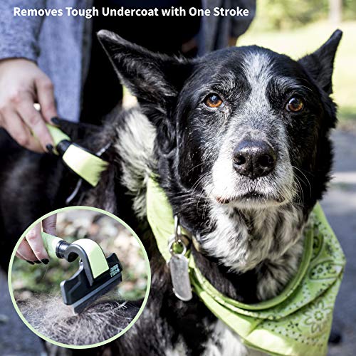 Anshar Dog Brush for Shedding and Grooming - Deshedding Brush Tool for Long and Short Hair - Shedding Blade, Grooming Supplies for Cats and Dogs - Small-Medium