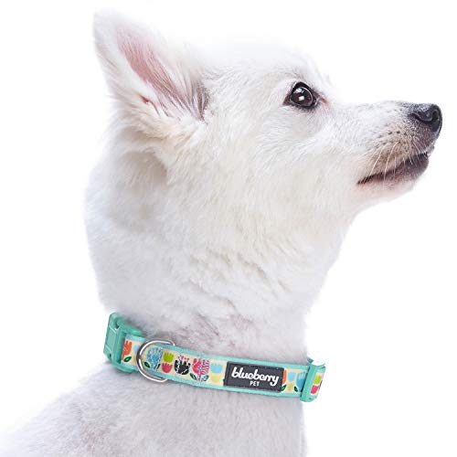 Blueberry Pet Multicolor Tulip Floral Print Dog Collar