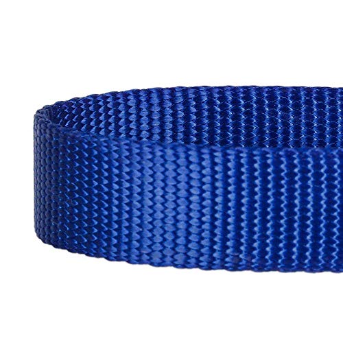 Blueberry Pet Classic Collar - Royal Blue, Medium