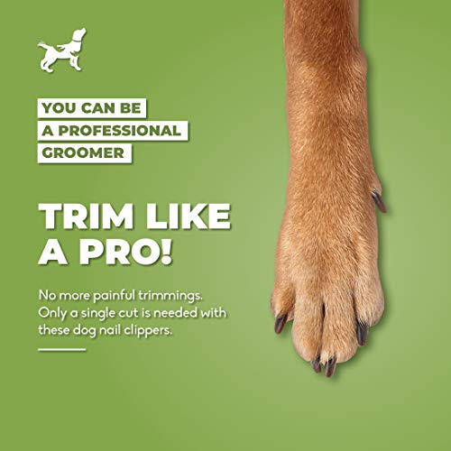 Dog Nail Clippers with Safety Guard - Pet Nail Clippers for Large Medium Small Breed - Protective Nail Cutter, Safe Claw Trimmer, Ergonomic Toenail Scissors - Ebook Guide