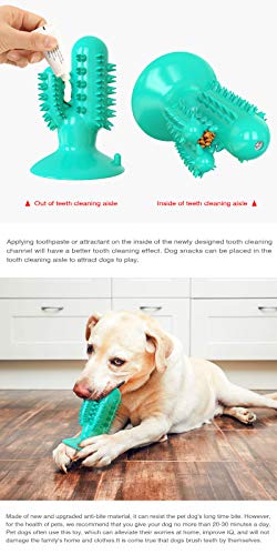 Dog Squeaky Toy Super Bite-Resistant Molar Stick Puppy Float Toys Dogs Supplies Pet Cactus-Shaped Doggy Toothbrushâ¦