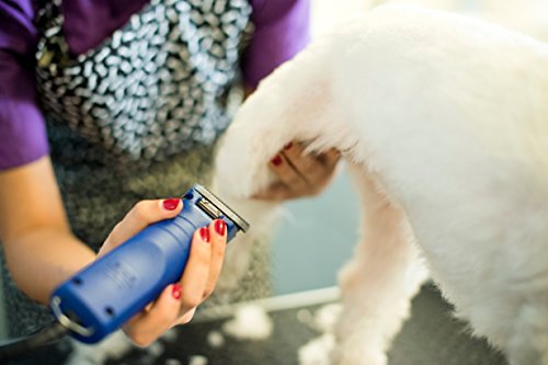 Andis UltraEdge Super 2-Speed Detachable Blade Clipper, Professional Animal/Dog Grooming, AGC2 (23275)