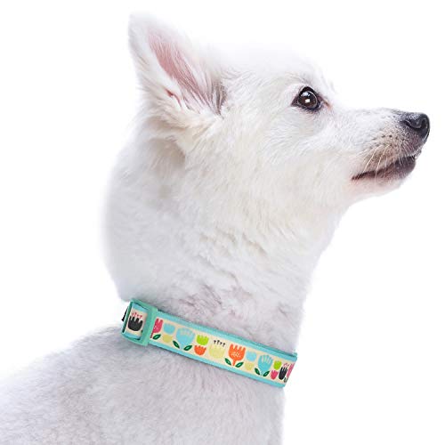 Blueberry Pet Multicolor Tulip Floral Print Dog Collar