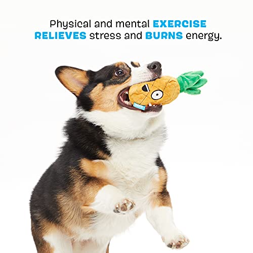 BarkBox 2-in-1 Interactive Plush Puzzle Dog Toys - Squeaky Pet and Puppy Enrichment Toys for Small, Medium, and Large Dogs | Penny The Pineapple