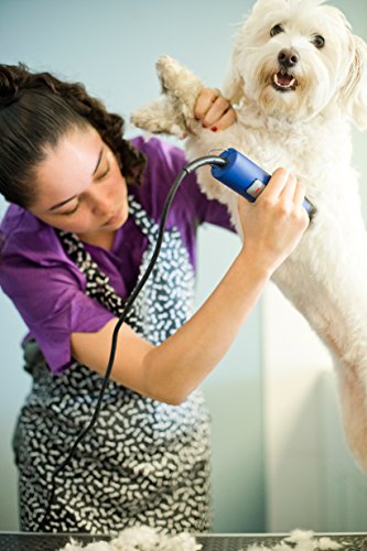 Andis UltraEdge Super 2-Speed Detachable Blade Clipper, Professional Animal/Dog Grooming, AGC2 (23275)