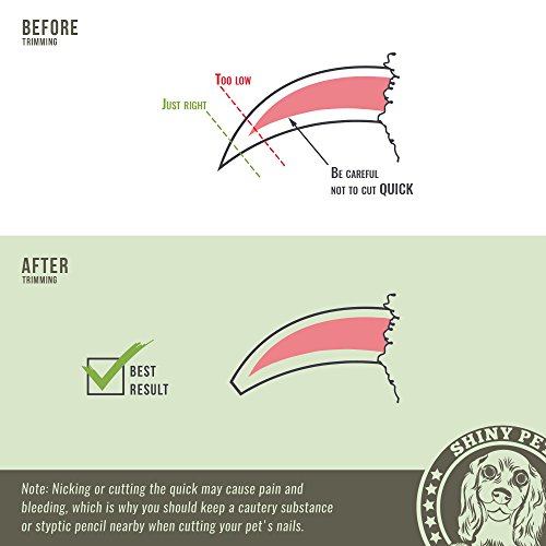 Dog Nail Clippers with Safety Guard - Pet Nail Clippers for Large Medium Small Breed - Protective Nail Cutter, Safe Claw Trimmer, Ergonomic Toenail Scissors - Ebook Guide