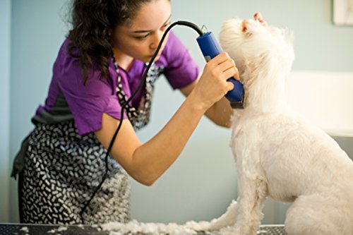 Andis UltraEdge Super 2-Speed Detachable Blade Clipper, Professional Animal/Dog Grooming, AGC2 (23275)