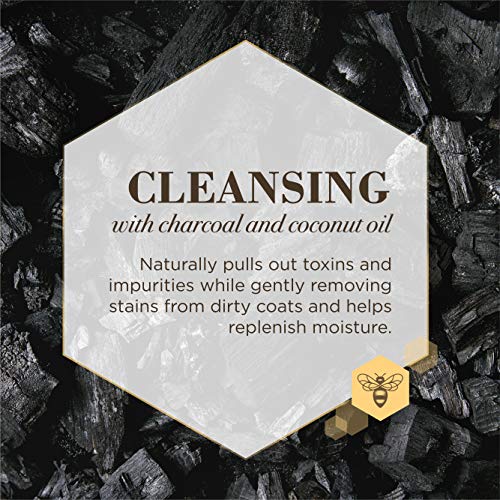 Burt's Bees for Dogs Care Plus+ Natural Charcoal & Coconut Oil Ear Wash for Dogs