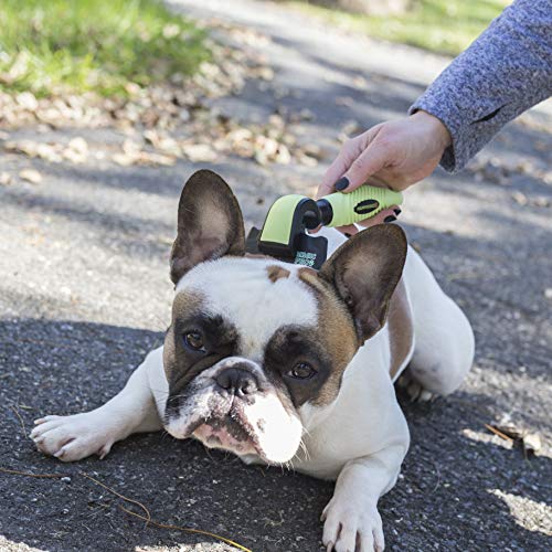 Anshar Dog Brush for Shedding and Grooming - Deshedding Brush Tool for Long and Short Hair - Shedding Blade, Grooming Supplies for Cats and Dogs - Small-Medium