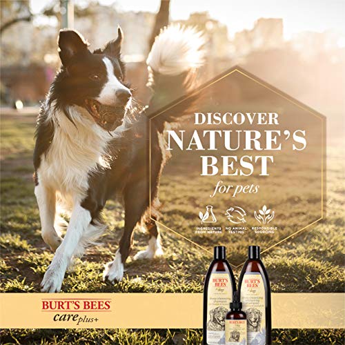 Burt's Bees for Dogs Care Plus+ Natural Charcoal & Coconut Oil Ear Wash for Dogs