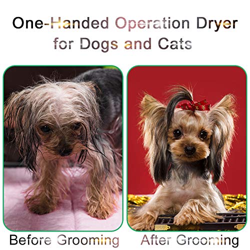 Dog Hair Dryer Pet Dryer Professional Grooming Blower Dog Slicker Brush for Medium Pet Small Dog Cat