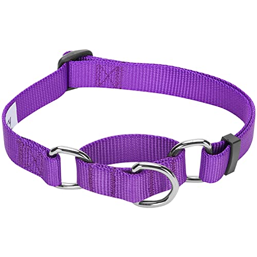 Blueberry Pet Essentials Martingale Safety Training Dog Collar, Dark Orchid, Small, Heavy Duty Nylon Adjustable Collars for Dogs