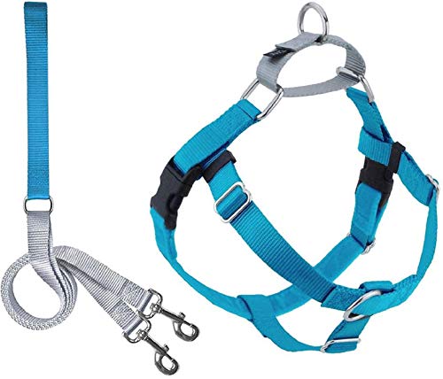 2 Hounds Design Freedom No-Pull Dog Harness and Leash, Adjustable Comfortable Control for Dog Walking, Made in USA (Large 1") (Turquoise)