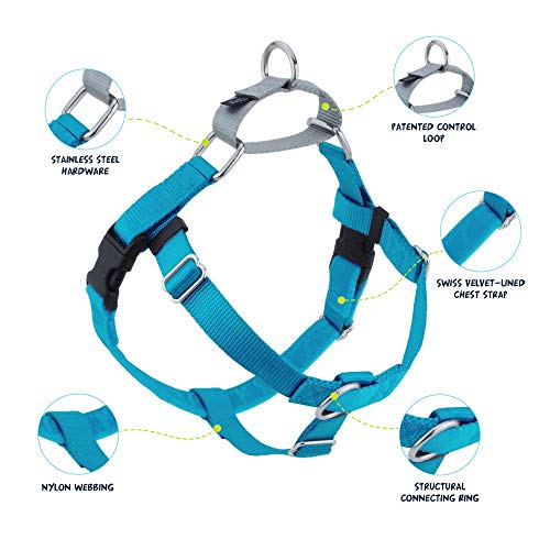 2 Hounds Design Freedom No-Pull Dog Harness and Leash, Adjustable Comfortable Control for Dog Walking, Made in USA (Large 1") (Turquoise)