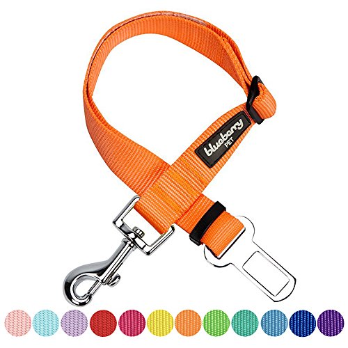 Blueberry Pet Classic Dog Seat Belt Tether for Dogs Cats, Florence Orange, Durable Safety Car Vehicle Seatbelts Leads Use with Harness