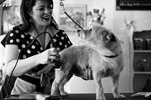 Andis UltraEdge Super 2-Speed Detachable Blade Clipper, Professional Animal/Dog Grooming, Spring Green, AGC2 (23290)