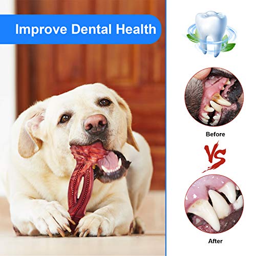 Aggressive Chewers Love Non-Toxic Durable Dog Toys