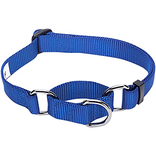 Blueberry Pet Essentials Martingale Safety Training Dog Collar, Royal Blue, X-Small, Heavy Duty Nylon Adjustable Collars for Dogs