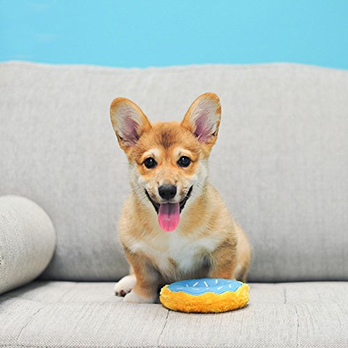 ZippyPaws - Mini Donutz No Stuffing Squeaky Plush Dog Toy - Blueberry