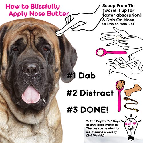 The Blissful Dog Mastiff Nose Butter â Dog Nose Butter, 0.50 Ounce