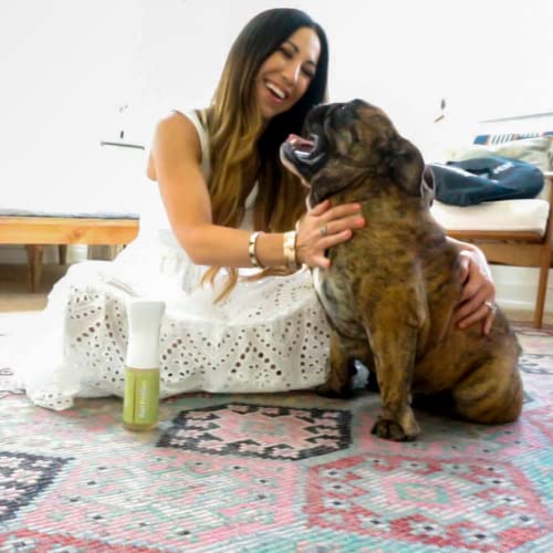 PetPotion No Rinse, Waterless, Spray Misting Shampoo for Dogs| USDA Organic| Reusable & Refillable (Balance - Essential Oil Blend with Apple Cider Vinegar - 5.5 oz)