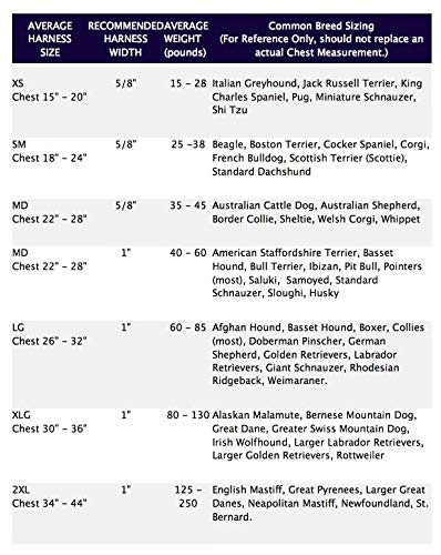 Adjustable Freedom No-Pull Dog Harness – Easy Walking