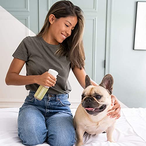 PetPotion No Rinse, Waterless, Spray Misting Shampoo for Dogs| USDA Organic| Reusable & Refillable (Balance - Essential Oil Blend with Apple Cider Vinegar - 5.5 oz)