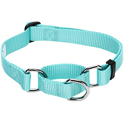 Blueberry Pet Essentials Martingale Safety Training Dog Collar, Mint Blue, X-Small, Heavy Duty Nylon Adjustable Collars for Dogs