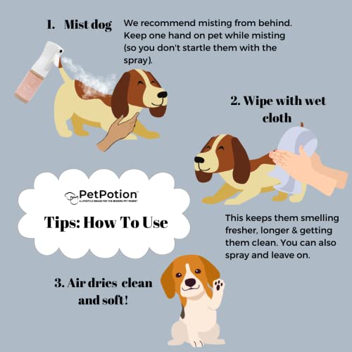 PetPotion No Rinse, Waterless, Spray Misting Shampoo for Dogs| USDA Organic| Reusable & Refillable (Balance - Essential Oil Blend with Apple Cider Vinegar - 5.5 oz)