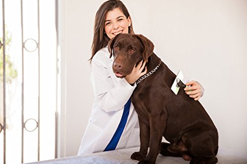 Slicker Dog Brush for Shedding Short Hair & Long Hair - Cat Brush & Dog Grooming Supplies, Deshedding for Single or Double Coated Dogs & Cats - Undercoat Rake for Your Pet