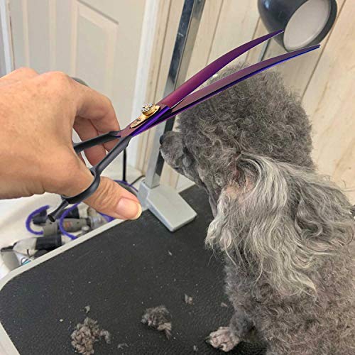 PURPLEBIRD 8 Inch Downward Curved Dog Grooming Scissors Professional Pet Cutting Shears Safety Noiseless Blunt Tip Trimming Shearing for Dogs Cats Japanese Stainless Steel Purple