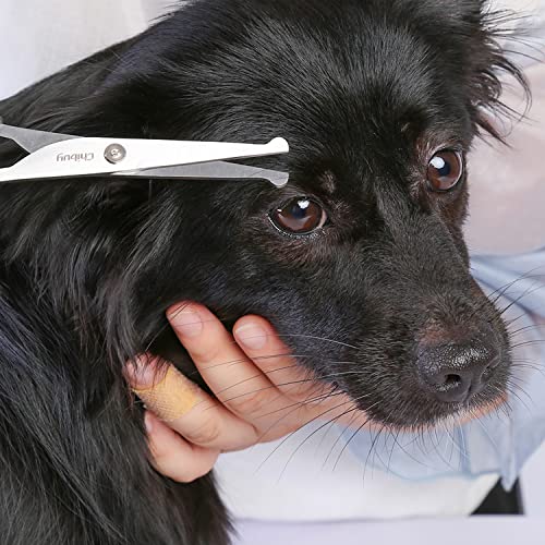 Professional Pet Grooming Scissors with Round Tip Stainless Steel Dog Eye Cutter for Dogs and Cats, Professional Grooming Tool, Size 6.70" x 2.6" x 0.43"