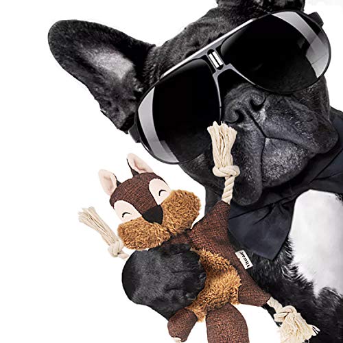Stuffless Dog Toys for Puppy, Crinkle Squeaky Dog Chew Toys Squirrel Plush Dog Toy with Rope Knots for Small Dogs (Squirrel) (Brown Squirrel)