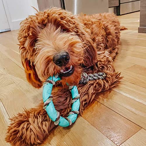 rocket & rex Chew Toys for Dog and Puppy. Teething, Gums, Dog Teeth Cleaning. Variety Packs That May Include Rope Toys, Stuffing Free Toys, Squeakers, Balls.