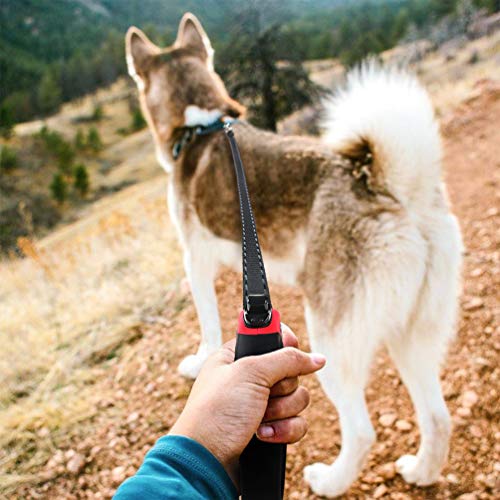 PETDOM Pet Hair Remover Brush - Integrated Sturdy Handle Double Sided with Self-Cleaning Base - Dog Cat Fur & Lint Removal for Clothes, Couch, Furniture (Red)