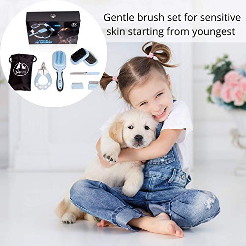 Lomas Professional Pet Grooming Kit for Cats and Dogs (Blue)