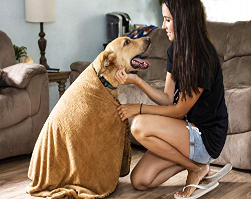 2 Pack Microfiber Bath and Beach Towel for Pets by- ScrubIt - Super Absorbent and Quick Drying - Perfect for Large, Medium, Small Dogs and Cats