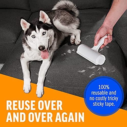 ChomChom Pet Hair Remover - Reusable Cat and Dog Hair Remover for Furniture, Couch, Carpet, Car Seats and Bedding - Eco-Friendly, Portable, Multi-Surface Lint Roller & Animal Fur Removal