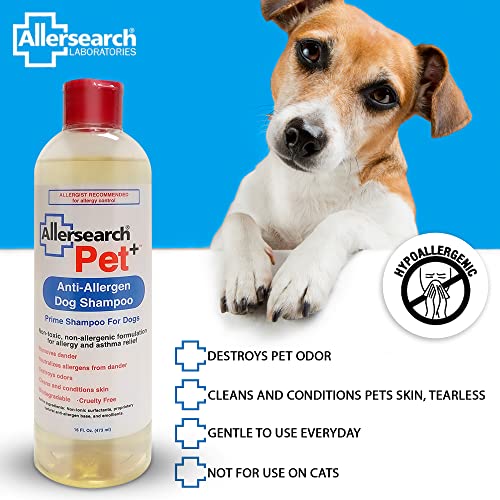 Pet+ Dog Shampoo 16 Oz