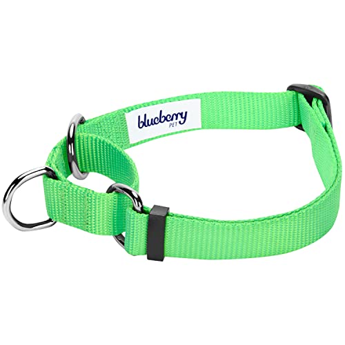 Blueberry Pet Essentials Martingale Safety Training Dog Collar, Neon Green, Large, Heavy Duty Nylon Adjustable Collars for Dogs