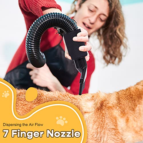 Free Paws Dog Dryer 4.0 HP 2 Speed Adjustable Heat Temperature Pet Dog Grooming Hair Dryer Blower Professional with 5 Different Nozzles and a Shower Massage Glove (Black)