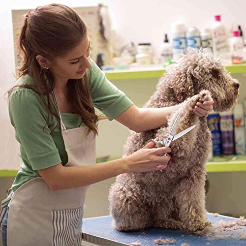 Purple Dragon Professional Pet Grooming Shears Dog/Poodle Cutting/Blending/Thinning/Chunker Scissors with Leather Bag for Pet Groomer