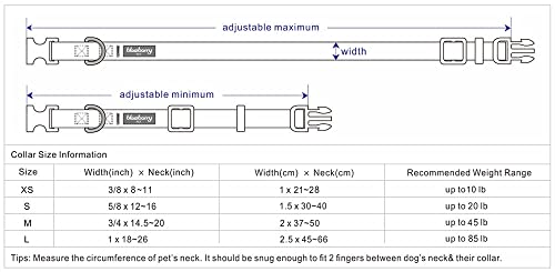 Blueberry Pet Essentials Personalized Dog Collar, Blazing Yellow, Small, Adjustable Customized ID Collars for Small Dogs Embroidered with Pet Name & Phone Number